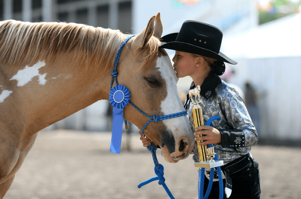 iron county fair