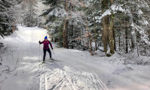 Cross country skiing in Iron County Michigan