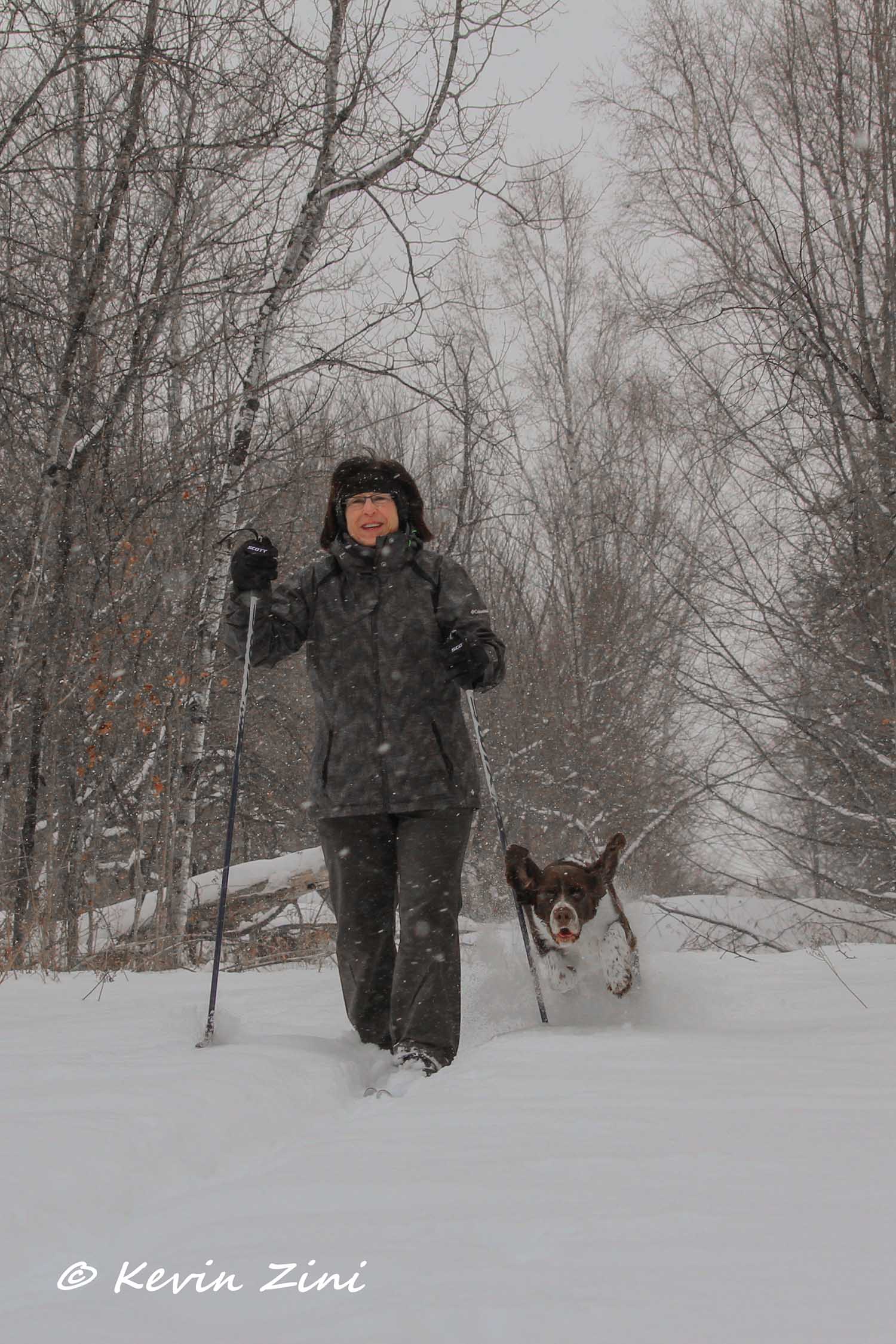 A woman snowshoeing through deep snow in the Iron County woods with her springer spaniel bounding behind her