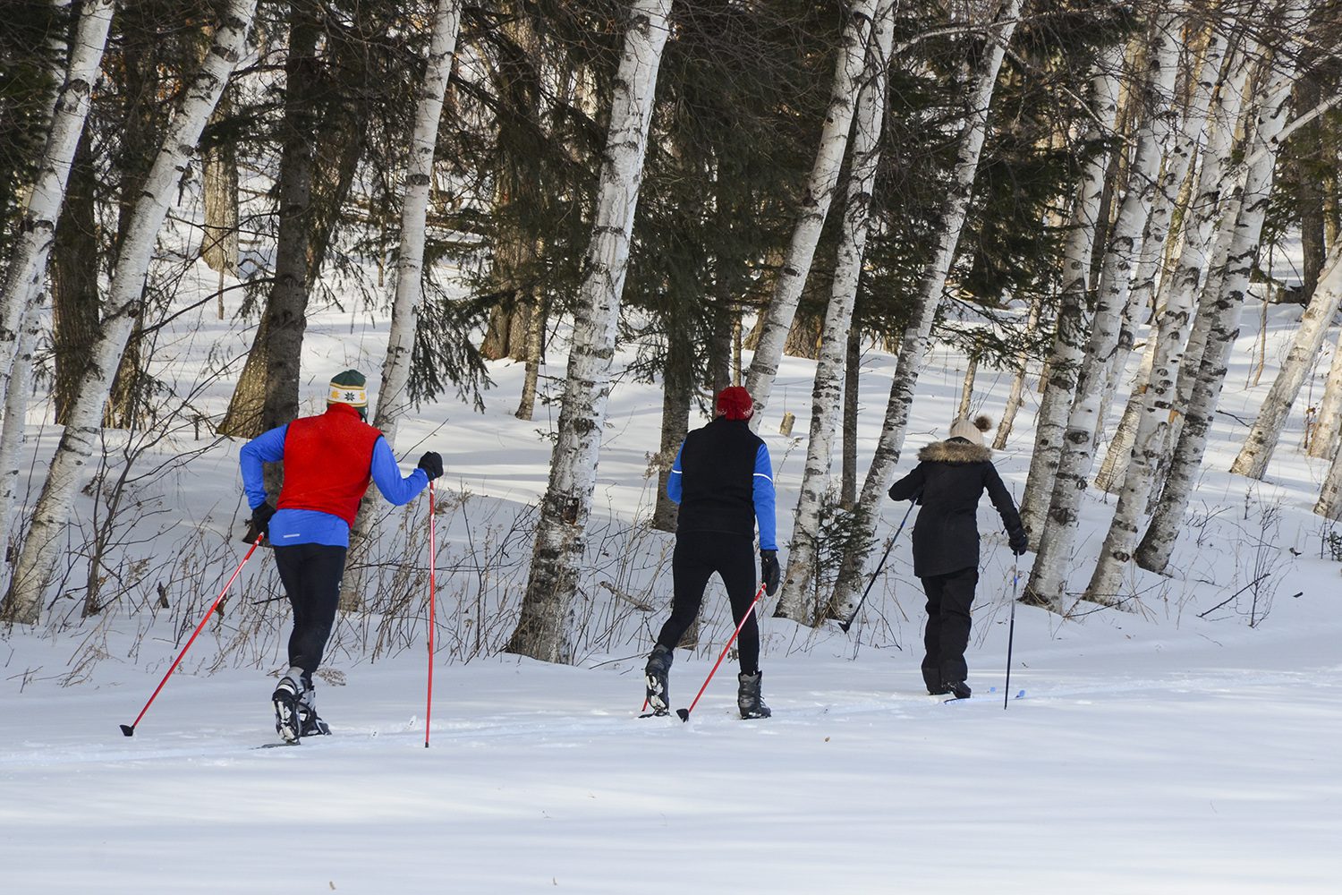 3 people cross country skiing on a trail