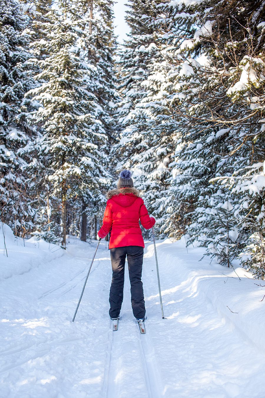 girl-red-jacket-goes-skiing-snowy-forest-winter-view-from-back