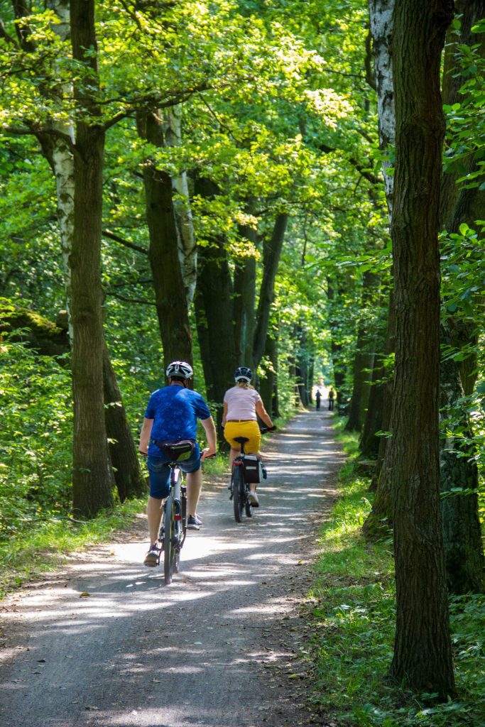 A group biking on a tree lined trail through the woods in early Spring on a sunny day in Iron County, Michigan