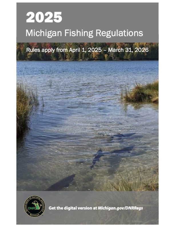 2025 Michigan Fishing Guide
