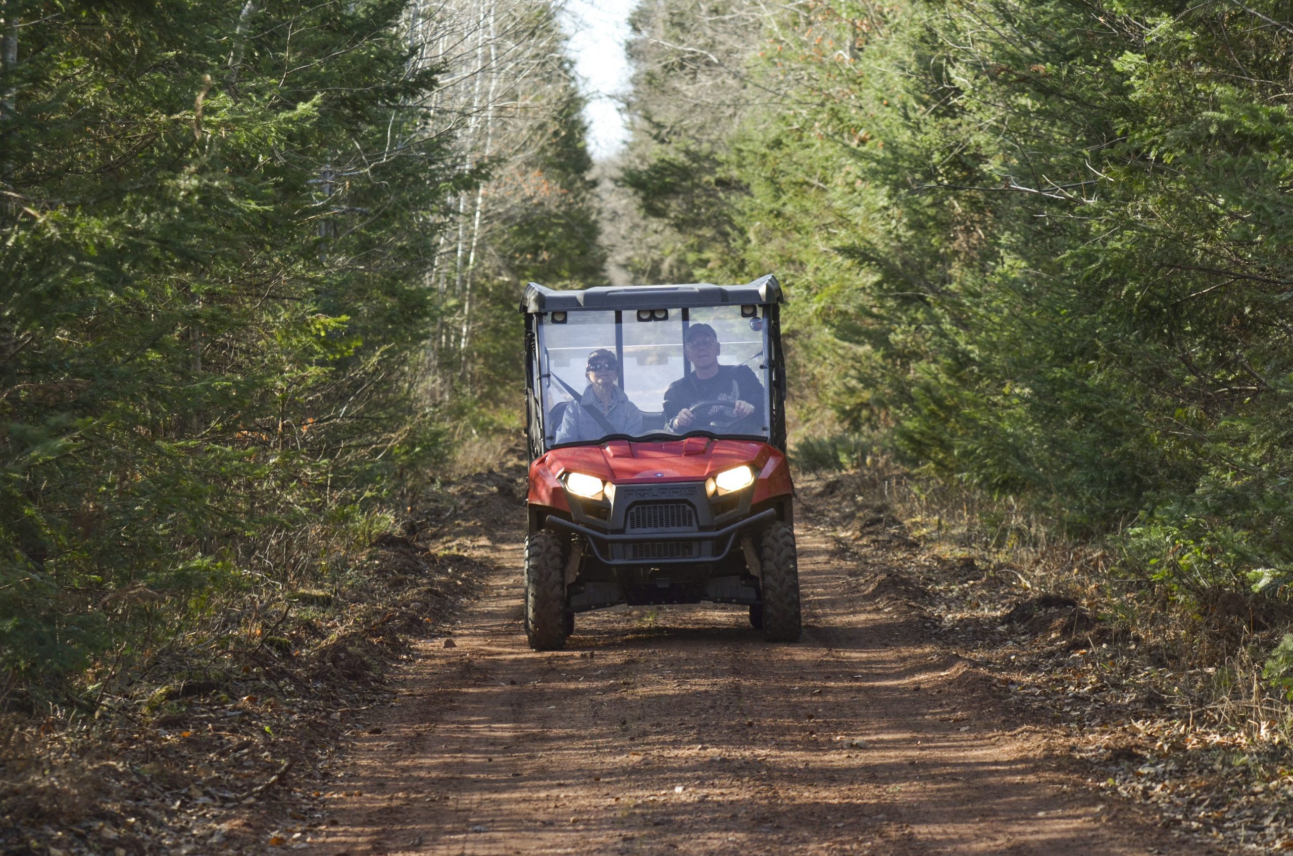 A red side-by-side ATV driving along a dirt trail in Iron County, Michigan, on a sunny summer day surrounded by green trees.