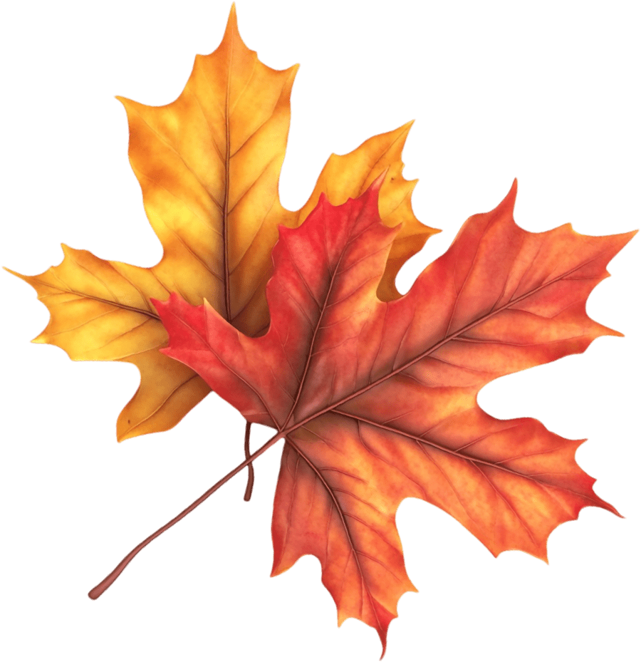 leaf