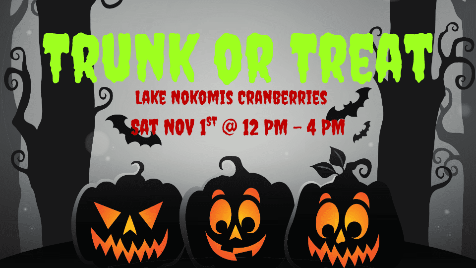 Families enjoying Trunk or Treat at Lake Nokomis Cranberries in Eagle River Wisconsin