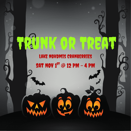 Lake Nokomis Cranberries Trunk or Treat 3 friendly ghoulish pumpkin in a creepy forest