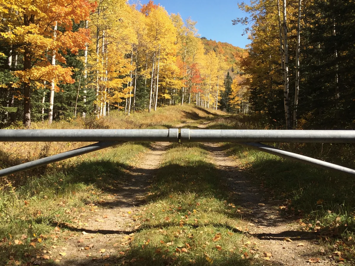 Forest access road in Iron County Michigan