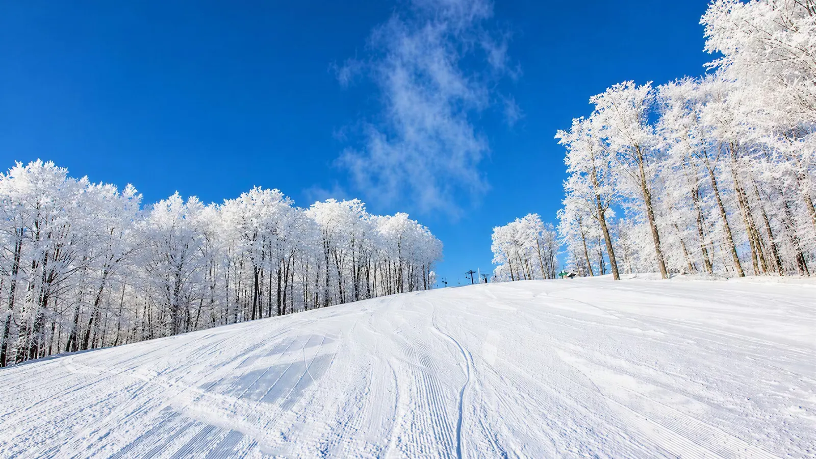 A freshly groomed ski run at Ski Brule under frosted trees and blue sky