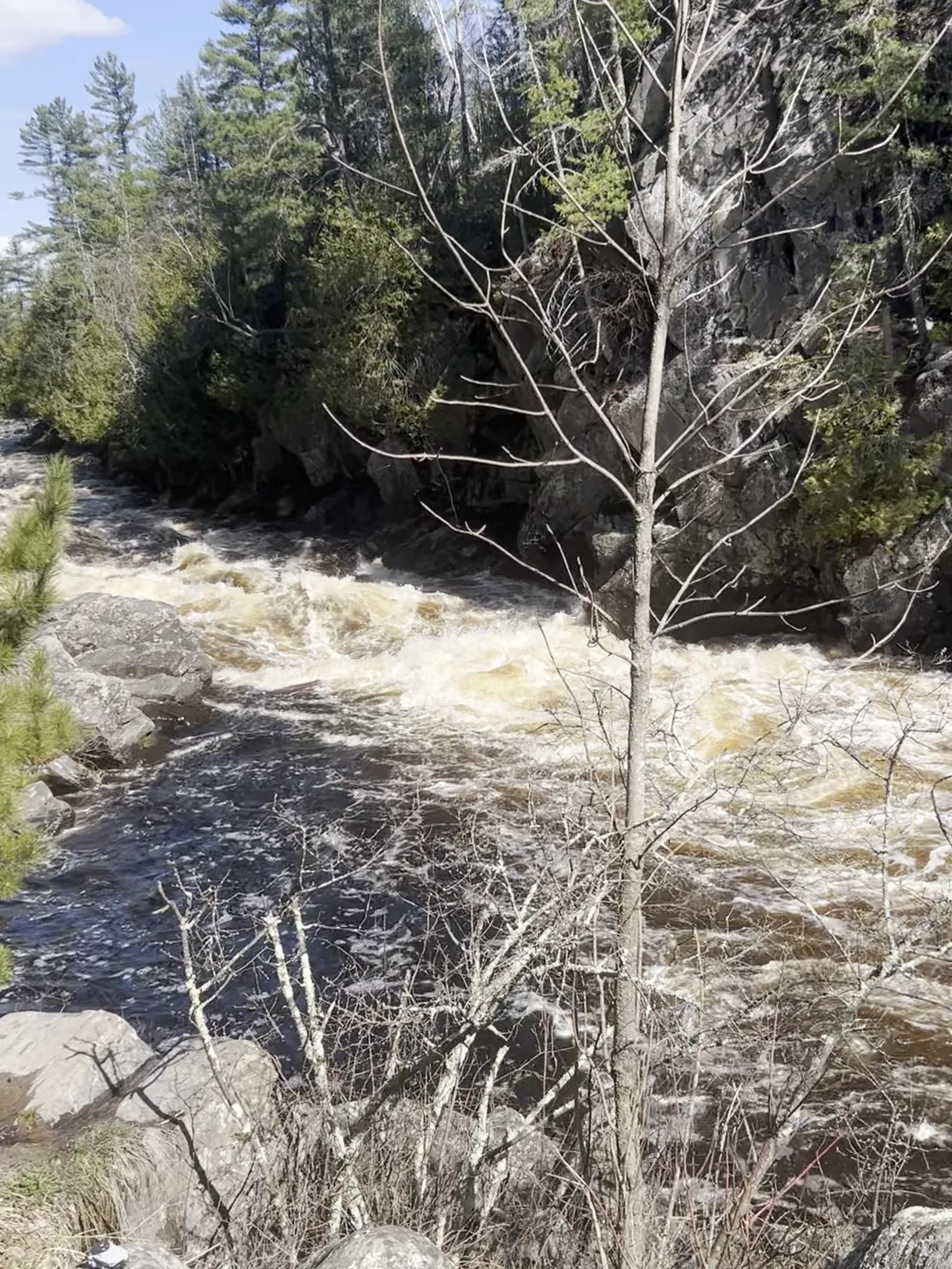 Brown spring floodwater churning through Horserace Rapids below a rock cliff in April