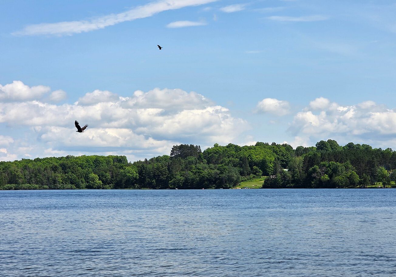 shoreline